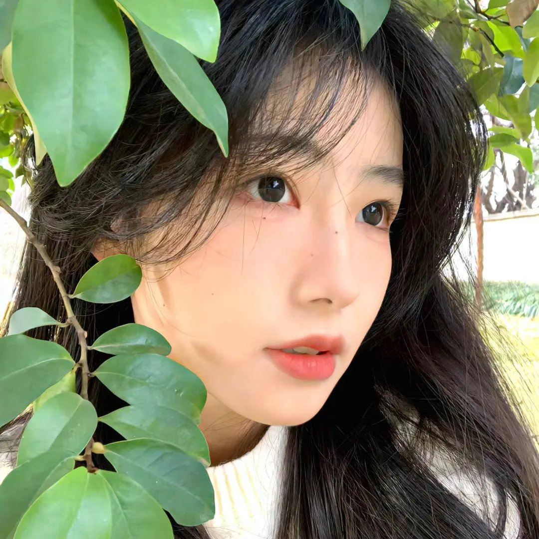 风暴尽头 在线观看